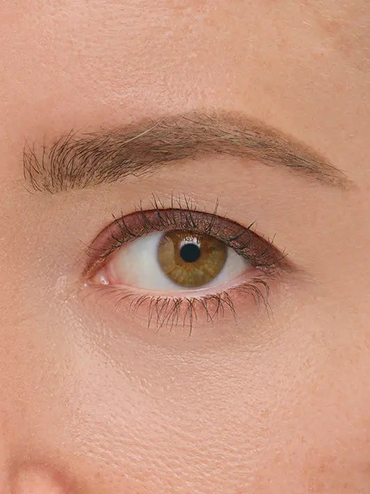 LINE ARTIST: THE NEUTRALS