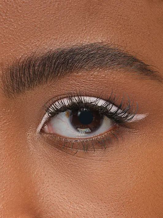 LINE ARTIST: THE NEUTRALS