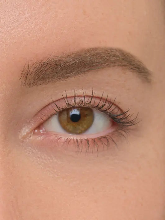 Brow Artist