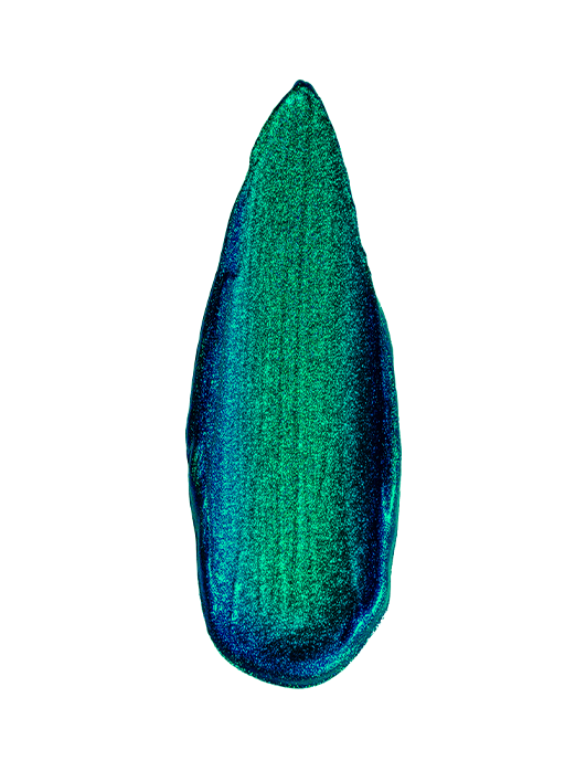 Holographic Eye Paints
