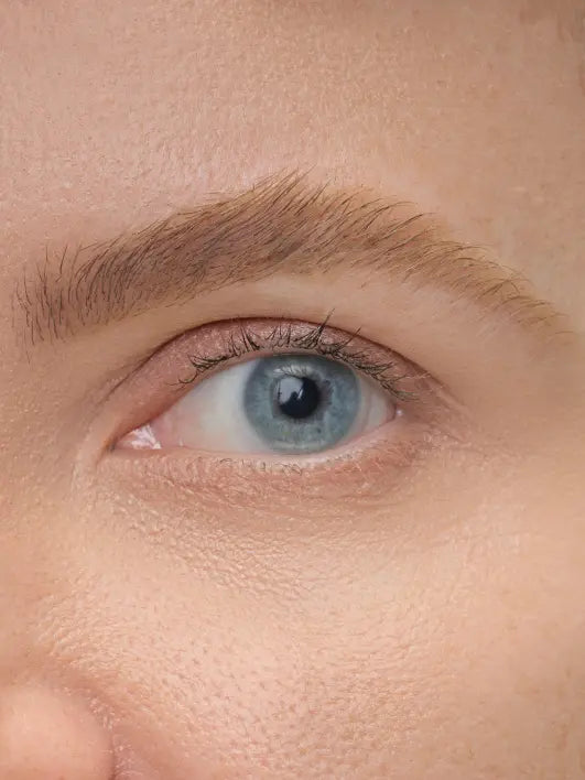 Brow Artist