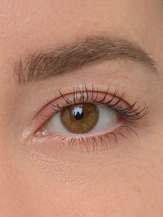 Brow Artist