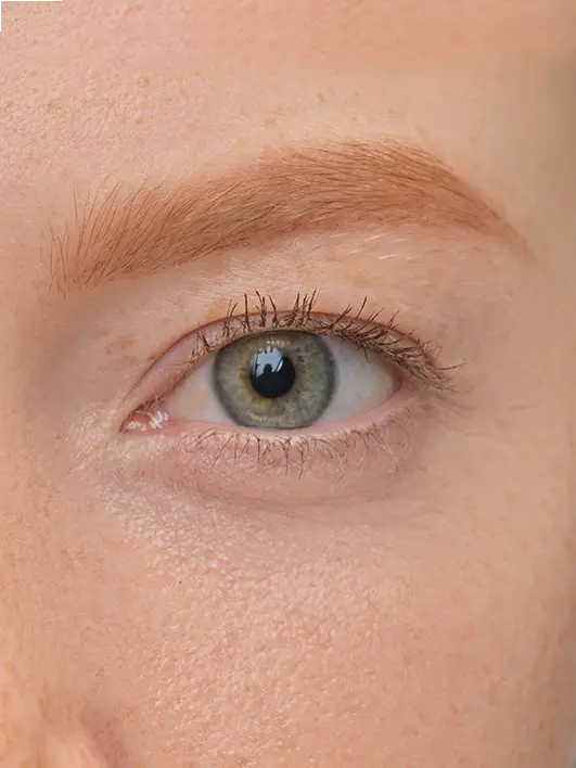 Brow Artist