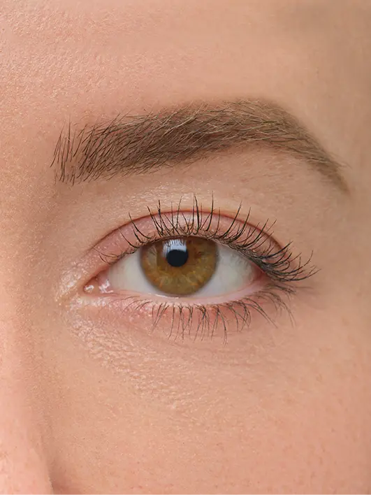 Brow Artist
