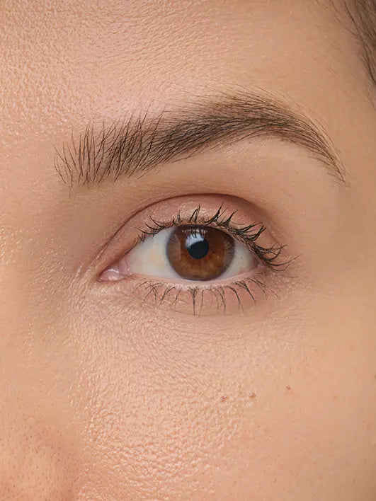 Brow Artist