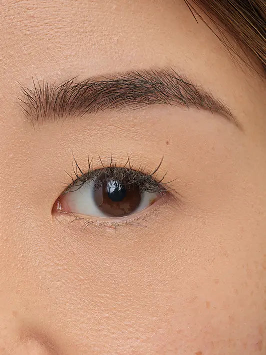 Brow Artist