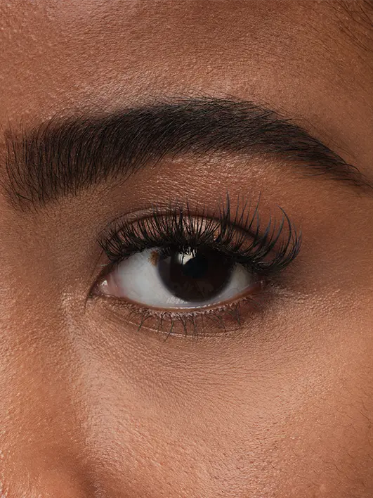 Brow Artist