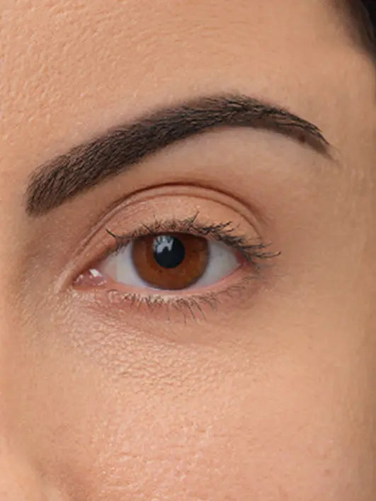 Brow Artist