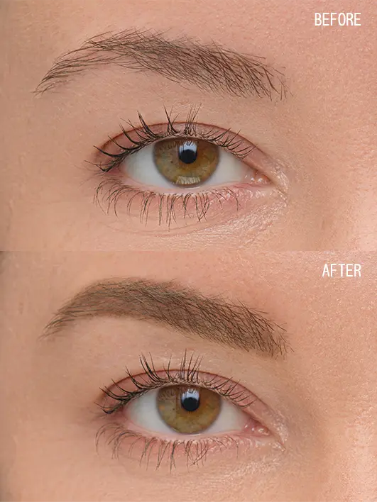 Brow Artist