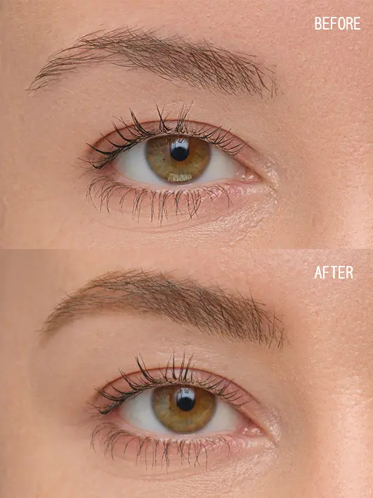 Brow Artist