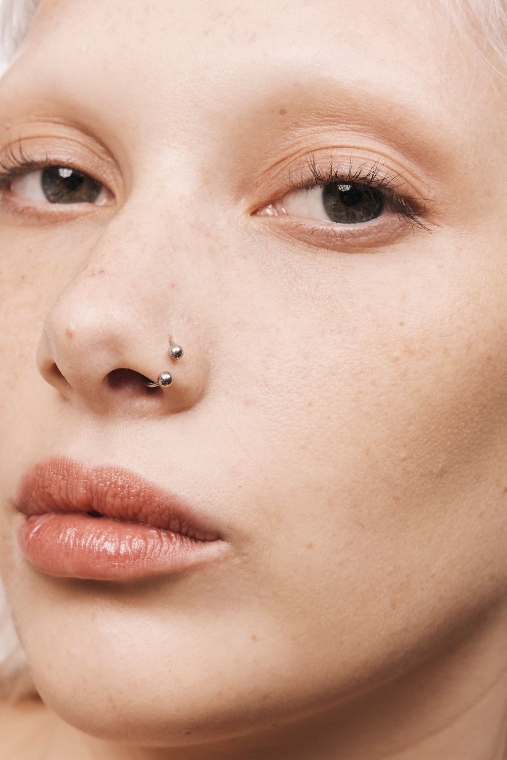 Shade Finder Pt. 3 : Images