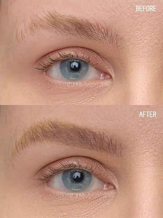 Brow Artist