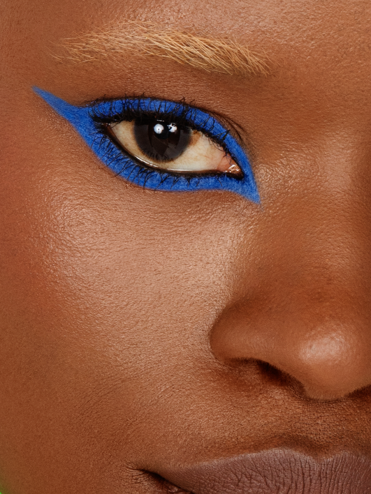 Matte Fluid Eye Paint™