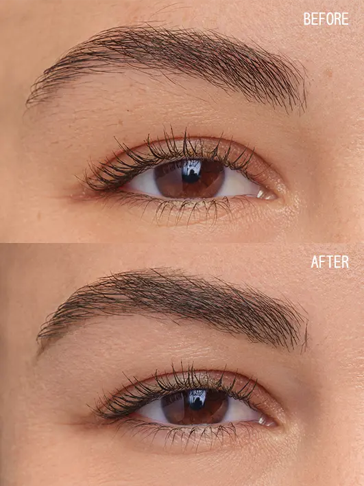 Brow Artist