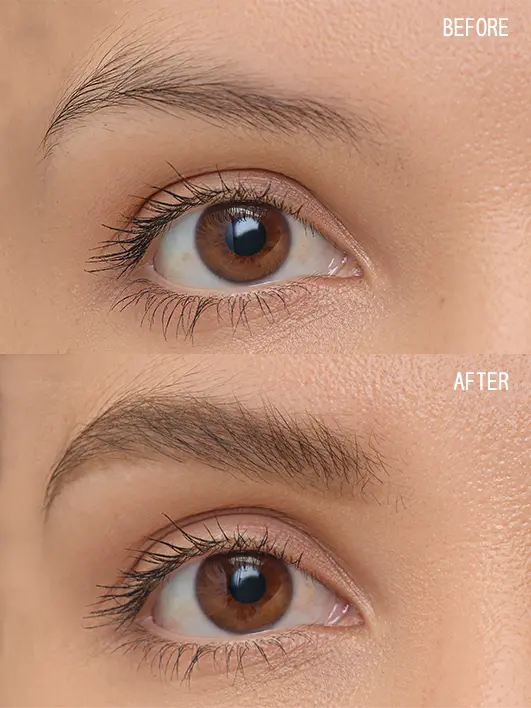 Brow Artist