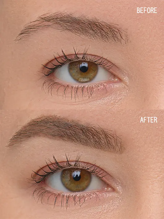 Brow Artist