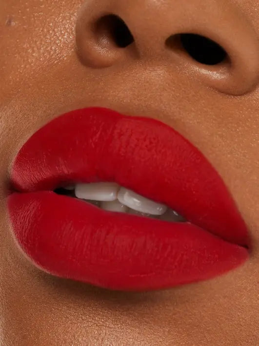 Paint-It Matte Lip Color